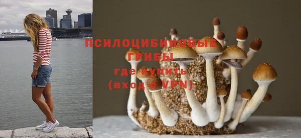 гидропоника Пестово